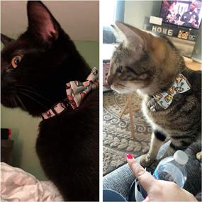 img 3 attached to 🐱 ADOGGYGO Cat Collar Breakaway with Cute Bow Tie Bell - 2 Pack: Stylish Kitten Collar Set with Removable Bowtie, Sushi, Donuts & More Patterns - Perfect for Your Feline Friend!