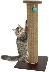 img 4 attached to 🐾 Premium Kitty City Woven Sisal Collection: Ultimate Scratching Post with Perch Cushion