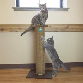 img 2 attached to 🐾 Premium Kitty City Woven Sisal Collection: Ultimate Scratching Post with Perch Cushion