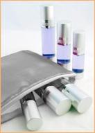 pitotubes 5pc travel bottlewise silver логотип