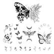 tinda butterflies collection waterproof temporary logo