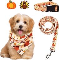 🦃 ciyvolyeen turkey gobble dog collar bandana leash combo set - perfect for fall outdoor activities and thanksgiving holiday - gift set of 5 for small medium pets and puppies logo