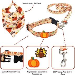 img 1 attached to 🦃 CiyvoLyeen Turkey Gobble Dog Collar Bandana Leash Combo Set - Perfect for Fall Outdoor Activities and Thanksgiving Holiday - Gift Set of 5 for Small Medium Pets and Puppies