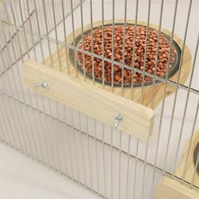 img 2 attached to 🦜 Stainless Steel Clamp Holder Bird Feeding Bowl - Cage Bird Feeder Dish for Cockatiel Parrot Parakeet Lovebird Conure Budgie (Set of 2)