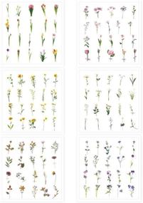 img 3 attached to 🌸 240pcs PET Transparent Decorative Stickers for DIY, Personalization, Bullet Diary Decoration, Laptops, Scrapbooking, Luggage, Cars, Books - 6 Packs of Flowers Plant Series Decals