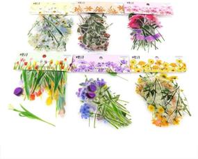 img 4 attached to 🌸 240pcs PET Transparent Decorative Stickers for DIY, Personalization, Bullet Diary Decoration, Laptops, Scrapbooking, Luggage, Cars, Books - 6 Packs of Flowers Plant Series Decals