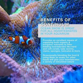 img 1 attached to 🌊 Ocean Snow by Continuum Aquatics - Revitalizing Marine Snow for Live Corals and Reef Aquariums