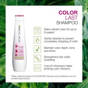 img 2 attached to Шампунь BIOLAGE Colorlast – Защищает волосы, сохраняет яркий цвет окрашенных волос – без парабенов и силикона, веганский