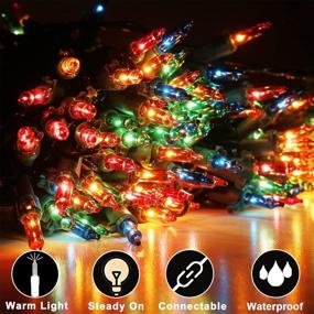 img 2 attached to 🎄 200 Count 42FT Multicolor Incandescent Christmas Tree Lights - Christmas Colorful String Lights, Pack of 2 Sets of 100 Count Mini Lights for Wedding Party, Holiday Garden, Indoor/Outdoor Decor