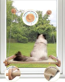 img 2 attached to 🐱 CATISM Cat Window Perch: Secure Wooden Frame Cat Hammock with Soft and Textured Fabrics, Strong Suction Cups - Supports up to 33lbs