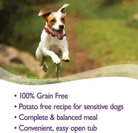 img 1 attached to 🐶 Wellness Petite Entrees 3oz Cup Pack of 24 Casserole Lamb - Grain-Free Wet Food for Small Breed Dogs