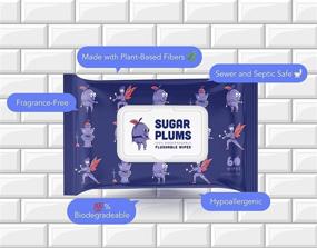 img 2 attached to SUGAR PLUMS Flushable Wet Wipes: 60 Ct Pack - 100% Biodegradable Plant Fibers 🧻 - In-Home Bathroom Use - Sewer & Septic Safe - Aloe Vera & Vitamin E Infused