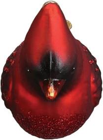 img 1 attached to 🐦 Exquisite Old World Christmas Ornaments: Bird Watcher Collection Glass Blown Ornaments for Christmas Tree - Featuring Northern Cardinal