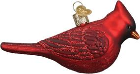 img 2 attached to 🐦 Exquisite Old World Christmas Ornaments: Bird Watcher Collection Glass Blown Ornaments for Christmas Tree - Featuring Northern Cardinal