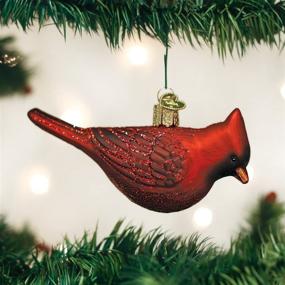 img 3 attached to 🐦 Exquisite Old World Christmas Ornaments: Bird Watcher Collection Glass Blown Ornaments for Christmas Tree - Featuring Northern Cardinal