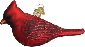 img 4 attached to 🐦 Exquisite Old World Christmas Ornaments: Bird Watcher Collection Glass Blown Ornaments for Christmas Tree - Featuring Northern Cardinal