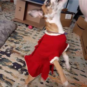 img 2 attached to 🎄 FLAdorepet Red Dog Sweater Dress: Warm Knit Clothes for Winter Holidays & Birthdays