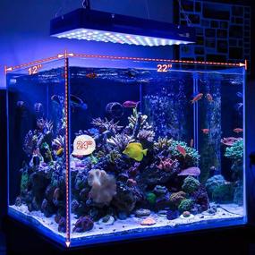 img 2 attached to 🐠 Enhance Your Aquatic Experience with the Relassy 600W LED Aquarium Light: Dimmable, Timer Remote Control, Full Spectrum for SPS LPS Coral, Saltwater Fish Tank, Nano Aquariums & more!