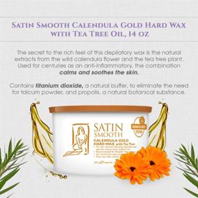 img 2 attached to 🌼 Satin Smooth Calendula Gold Hard Wax with Tea Tree Oil: Effortless Hair Removal Solution - 14oz