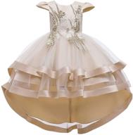 stunning regal attire: hihcbf princess wedding pageant birthday girls' clothing logo