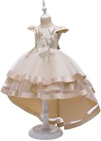 img 2 attached to Stunning Regal Attire: HIHCBF Princess Wedding Pageant Birthday Girls' Clothing