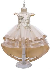 img 3 attached to Stunning Regal Attire: HIHCBF Princess Wedding Pageant Birthday Girls' Clothing