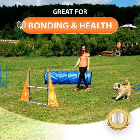 img 3 attached to Enhance Dog Agility Skills with SparklyPets Indoor & Outdoor Dog Agility Training Equipment Set - Complete Course for Dogs