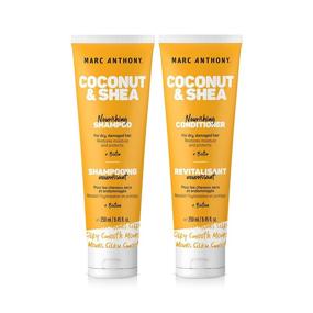 img 4 attached to 🥥 Revitalize and Nourish Dry Damaged Hair with Marc Anthony Hydrating Coconut Oil & Shea Butter Shampoo and Conditioner Set, 16.8 Fl Oz