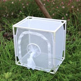 img 2 attached to 🦋 RESTCLOUD Monarch Butterfly Habitat Terrarium: Enhancing Learning and Education