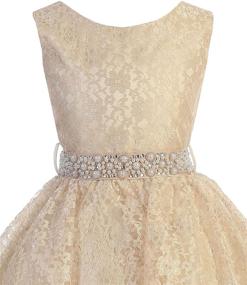 img 1 attached to 🌸 Dazzling Rhinestone Pageant Flower Girl Dress - Gorgeous Light Girls' Clothing for Special Occasions