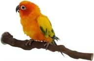 wood bird stand perch: natural wild grape paw grinding toy for small and medium parrots, parakeets, cockatiels, lovebirds, sun conures, caique, african grey logo