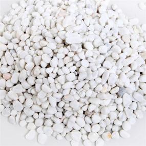 img 4 attached to 🪨 MyGift 8-pound Mini White Synthetic River Pebbles, Decorative Vase Fillers, 0.20-0.63 inch Stones