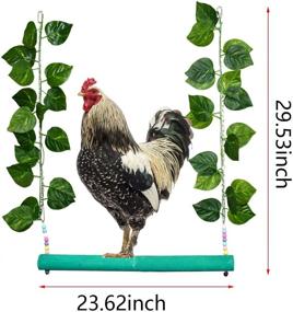 img 3 attached to 🐔 Large Chicken Swing Toy for Adult Hens - Natural Wood with Thick Bar and Artificial Leaves - Perfect for Parrot Macaw Rooster and Hen