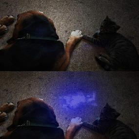 img 1 attached to 🔦 Powerful 395nm UV Flashlight: Easily Spot Cat/Dog Urine, Pet Stains, and Bed Bugs - Includes Pet Odor Eliminator [Batteries Included]