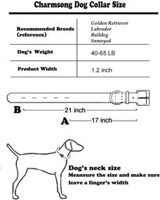 img 2 attached to 🐶 Premium Charmsong Strong Spiked Dog Collar: Ideal for Medium & Large Breeds