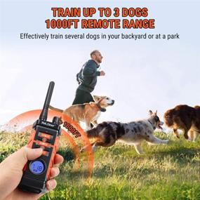 img 2 attached to Petrainer PET616A-3 Rechargeable Waterproof Dog Training Collar - Electric Remote Collar with Beep, Vibrate, and Static Modes