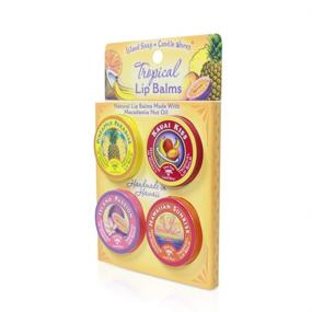 img 2 attached to 💋 Island Soap & Candle Works Lip Balm Tin: Convenient 4-Pack for Nourished Lips