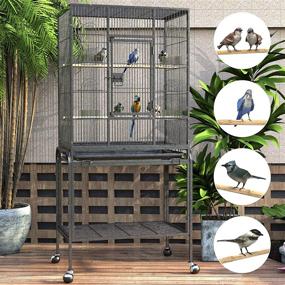 img 1 attached to 🐦 YINTATECH 53-inch Rolling Stand Bird Cage for Small Parrots, Cockatiels, Sun Parakeets, Conures, Lovebirds, Canaries (Green-Cheeks, Sun Conures)