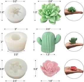 img 3 attached to 🌵 Oakoa 3 Pack Premium Succulent Mold Silicone Molds Candles: Superb Cactus Mold for Fondant Toppers, Cupcake Decorations, and Candles