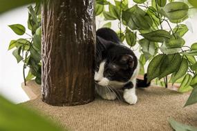 img 2 attached to On2 Pets EverGreen Cat Tree: USA-Made Medium Cat Condo & Activity Tree with Realistic Leaves