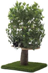 img 4 attached to On2 Pets EverGreen Cat Tree: USA-Made Medium Cat Condo & Activity Tree with Realistic Leaves