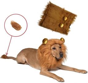 img 4 attached to 🦁 KAPOER Dog Lion Mane - Realistic & Funny Costume Wig for Dogs - Perfect Halloween Costume for Medium to Large Sized Dogs