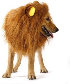 img 1 attached to 🦁 KAPOER Dog Lion Mane - Realistic & Funny Costume Wig for Dogs - Perfect Halloween Costume for Medium to Large Sized Dogs