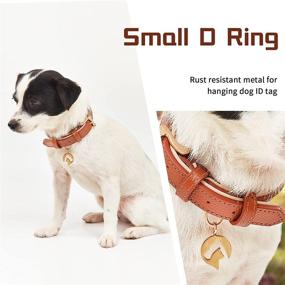 img 3 attached to 🐾 2-Pack Genuine Leather Dog Collar by Thankspaw - Breathable and Waterproof Pet Collar with Soft Neoprene Padding, Ideal for Small, Medium, and Large Dogs