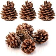 🌲 24-pack bundle of all-natural pinecones - ideal for bulk purchases logo