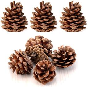img 1 attached to 🌲 24-Pack Bundle of All-Natural Pinecones - Ideal for Bulk Purchases