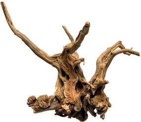 img 2 attached to 🌿 Authentic PINVNBY Natural Driftwood: Perfect for Aquarium Decor, Dearded Dragon Tanks and Terrariums - 2 Pack