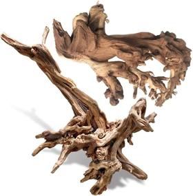 img 4 attached to 🌿 Authentic PINVNBY Natural Driftwood: Perfect for Aquarium Decor, Dearded Dragon Tanks and Terrariums - 2 Pack