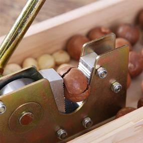 img 2 attached to 🌰 Manual Nutcracker Opener Tool with Wood Handle - Heavy Duty Pecan Nut Cracker, Nut Tongs, and Peeling Machine - Kitchen Tools for Efficient Nutcracking