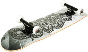 img 3 attached to Top-Rated Minority 32inch Maple 🛹 Skateboard: Premium Quality for Skating Enthusiasts